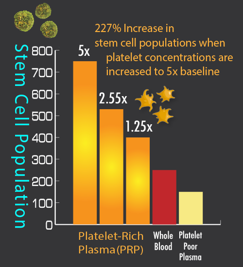 Graph showing msenchymal stem cell popultations increase in realtionshipt platelet-rich plasma concentrations as compared to whold blood or platelet-poor plasma.