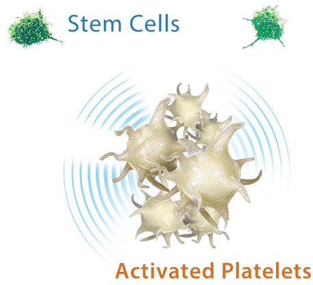 Activated Platelets signaling to Mesenchymal Stem Cells